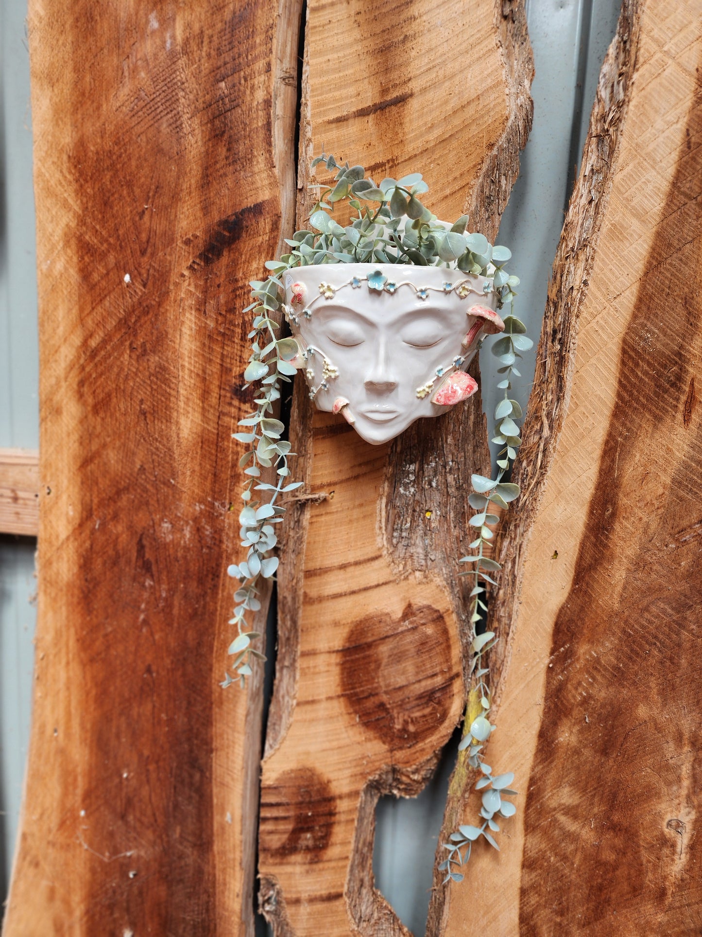 Hanging Face Planter #2