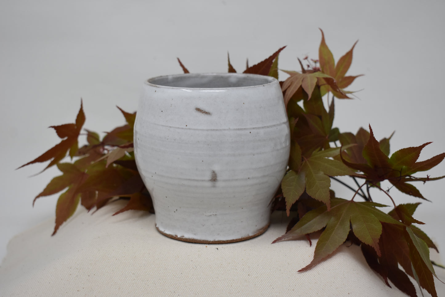 White Vase