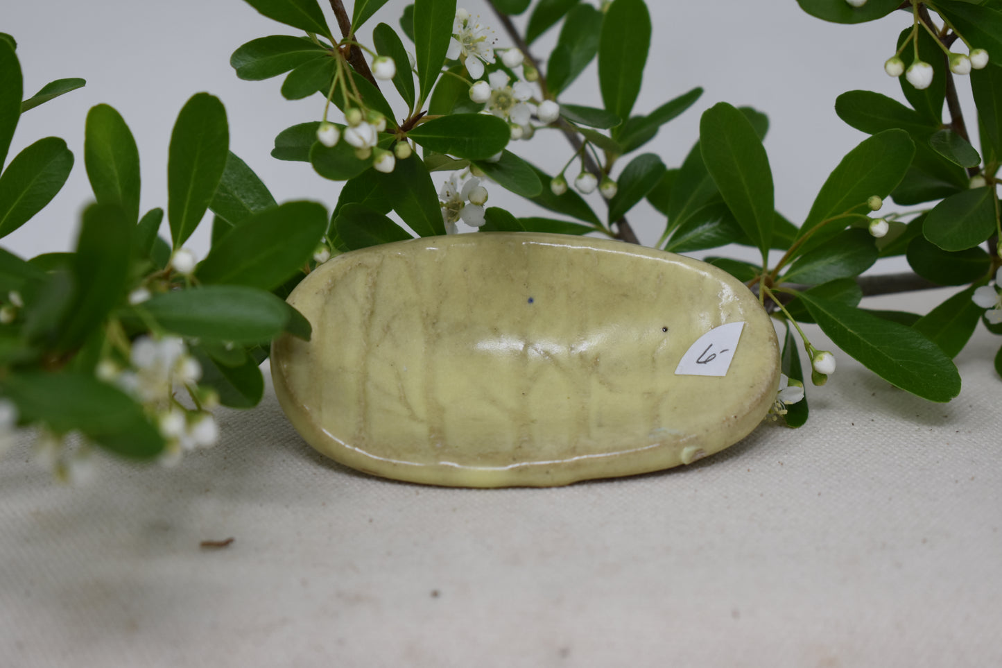 Yellow Ring Dish